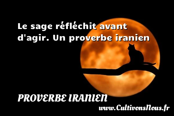 Le sage réfléchit avant d’agir. - Proverbe iranien - Proverbes agir