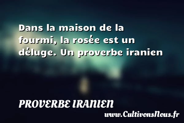 Dans la maison de la fourmi, la rosée est - Proverbe iranien - Proverbe rose