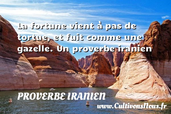 La fortune vient à pas de tortue, et fuit - Proverbe iranien