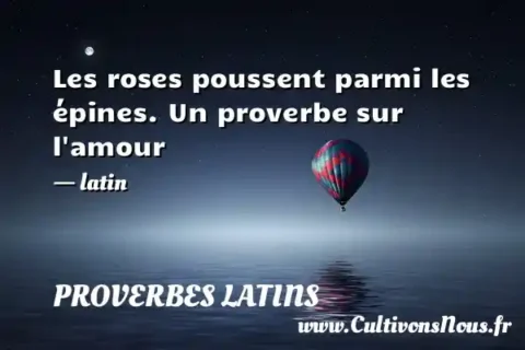 Les roses poussent parmi les épines. Un proverbe sur l amour - latin PROVERBES LATINS