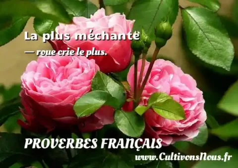 La plus méchante - roue crie le plus. PROVERBES FRANÇAIS