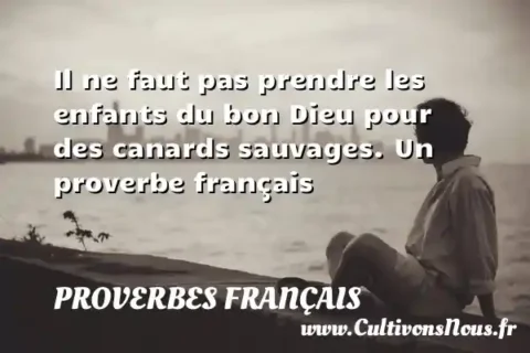 Il ne faut pas prendre les enfants du bon Dieu pour des canards sauvages. Un proverbe français PROVERBES FRANÇAIS