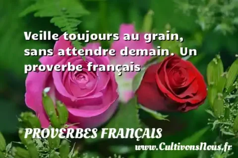 Veille toujours au grain, sans attendre demain. Un proverbe français PROVERBES FRANÇAIS