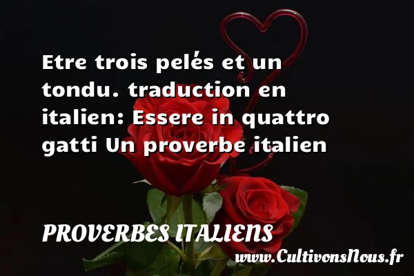 Etre trois pelés - Proverbes italiens