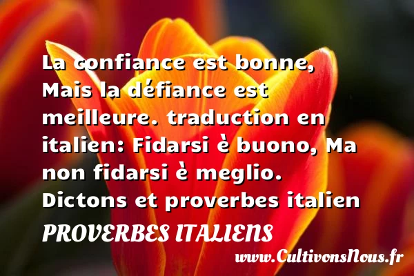 La confiance est bonne - Proverbes italiens - proverbes confiance