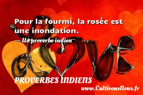 Pour la fourmi, la rosée est une inondation. - Un proverbe indien PROVERBES INDIENS