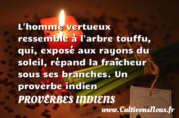 L’homme vertueux - Proverbes indiens - Proverbes vertu