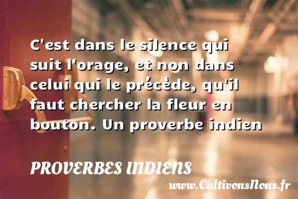 C’est dans le - Proverbes indiens