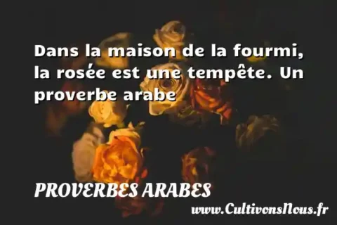 Dans la maison de la fourmi, la rosée est une tempête. Un proverbe arabe PROVERBES ARABES