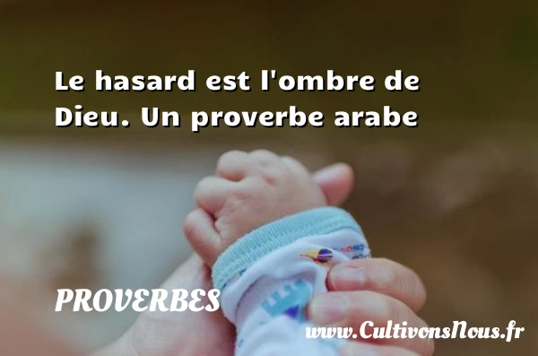 Le hasard est l’ombre - Proverbes - Proverbes arabes