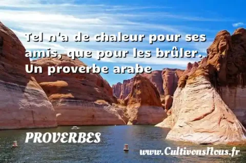 Tel n a de chaleur pour ses amis, que pour les brûler. Un proverbe arabe PROVERBES