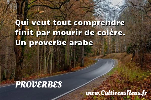 Qui veut tout - Proverbes - Proverbes arabes - Proverbe colère