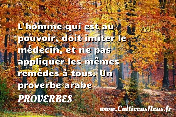 L’homme qui est au - Proverbes - Proverbes arabes