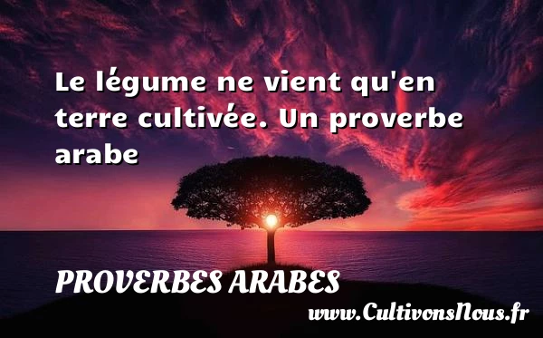 Le légume ne vient - Proverbes arabes