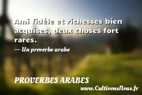 Ami fidèle et richesses bien acquises, deux choses fort rares. - Un proverbe arabe PROVERBES ARABES