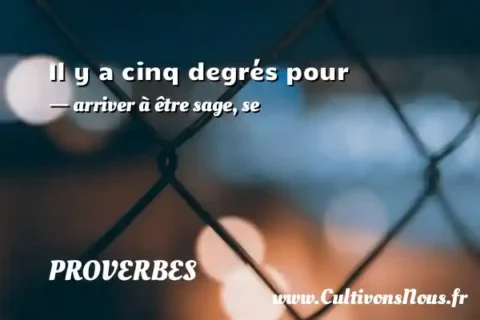 Il y a cinq degrés pour - arriver à être sage, se PROVERBES