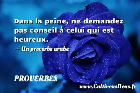 Dans la peine, ne demandez pas conseil à celui qui est heureux. - Un proverbe arabe PROVERBES