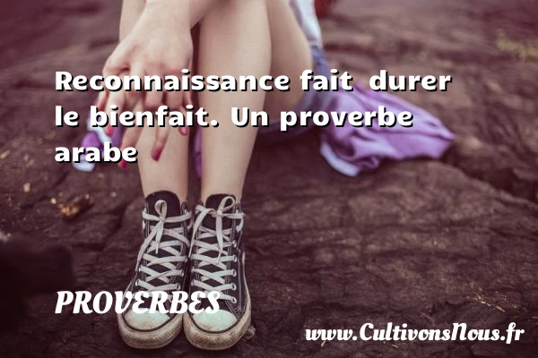 Reconnaissance fait - Proverbes - Proverbes arabes