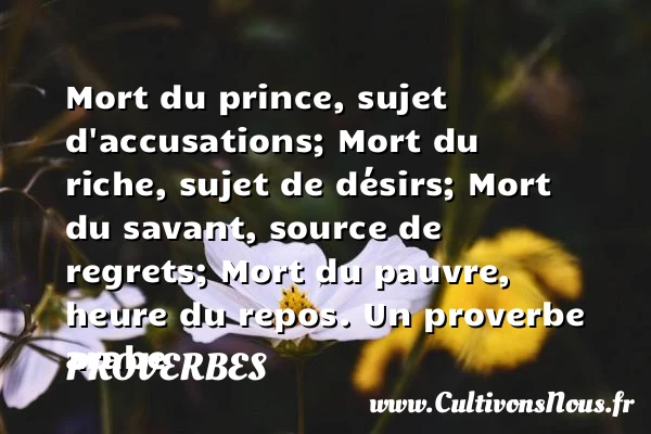 Mort du prince, sujet - Proverbes - Proverbes arabes - Proverbe regret