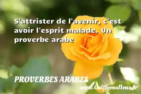 S attrister de l avenir, c est avoir l esprit malade. Un proverbe arabe PROVERBES ARABES