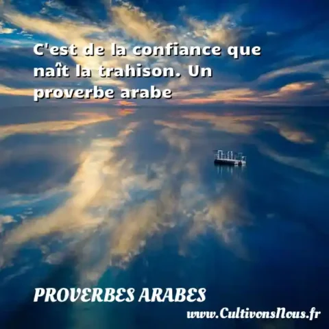 C est de la confiance que naît la trahison. Un proverbe arabe PROVERBES ARABES