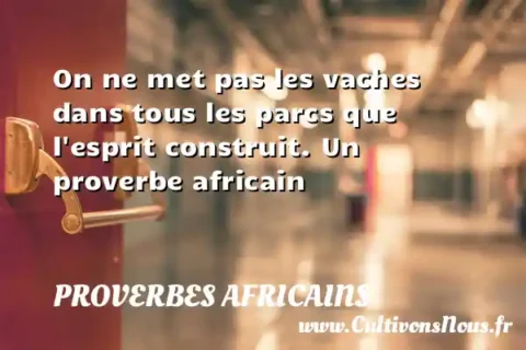 On ne met pas les vaches dans tous les parcs que l esprit construit. Un proverbe africain PROVERBES AFRICAINS