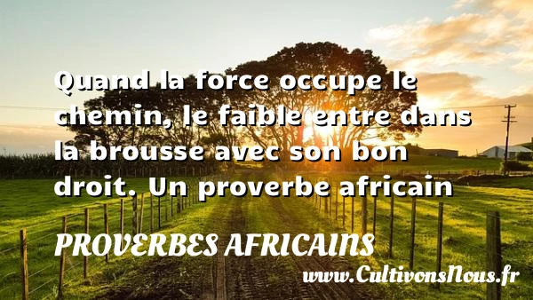 Quand la force occupe le - Proverbes africains