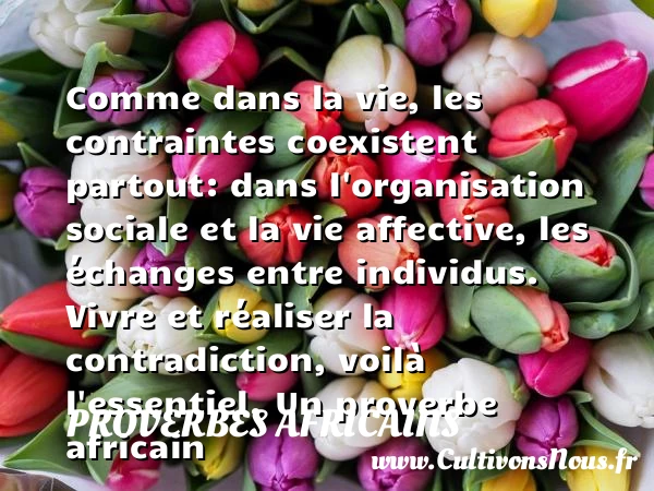 Comme dans la vie, les - Proverbes africains