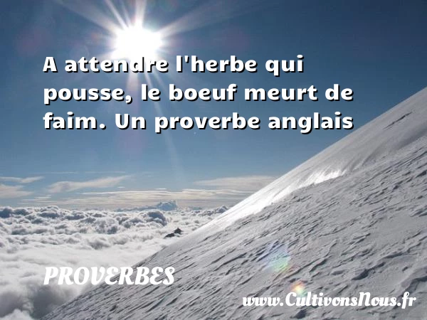 A attendre l’herbe qui - Proverbes - Proverbes anglais - Proverbe attendre