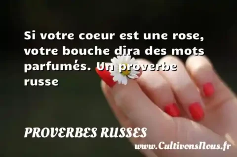 Si votre coeur est une rose, votre bouche dira des mots parfumés. Un proverbe russe PROVERBES RUSSES
