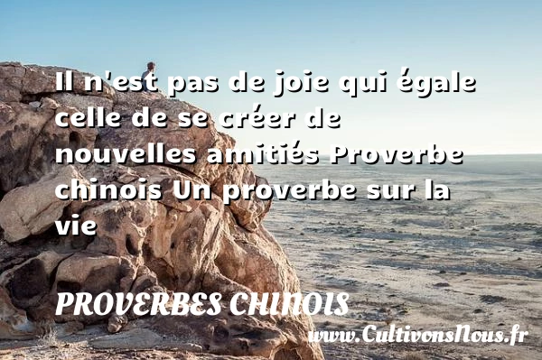 Il n’est pas de joie qui - proverbes chinois - Proverbes vie