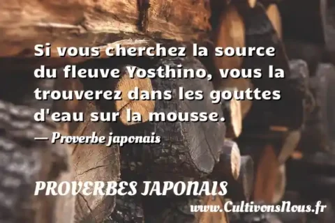 Si vous cherchez la source du fleuve Yosthino, vous la trouverez dans les gouttes d eau sur la mousse. - Proverbe japonais PROVERBES JAPONAIS