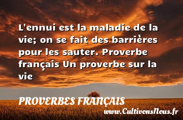 L’ennui est la maladie de la - Proverbes français - Proverbes vie