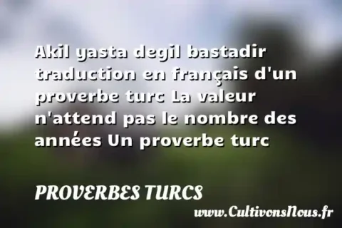 Akil yasta degil bastadir traduction en français d un proverbe turc La valeur n attend pas le nombre des années Un proverbe turc PROVERBES TURCS
