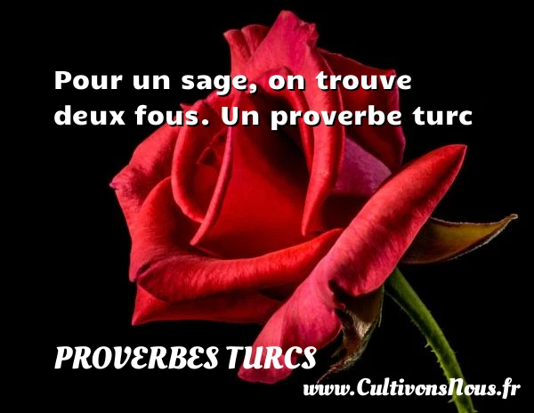 Pour un sage, on trouve deux - Proverbes turcs
