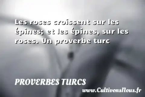 Les roses croissent sur les épines; et les épines, sur les roses. Un proverbe turc PROVERBES TURCS