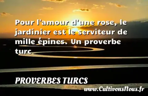 Pour l amour d une rose, le jardinier est le serviteur de mille épines. Un proverbe turc PROVERBES TURCS