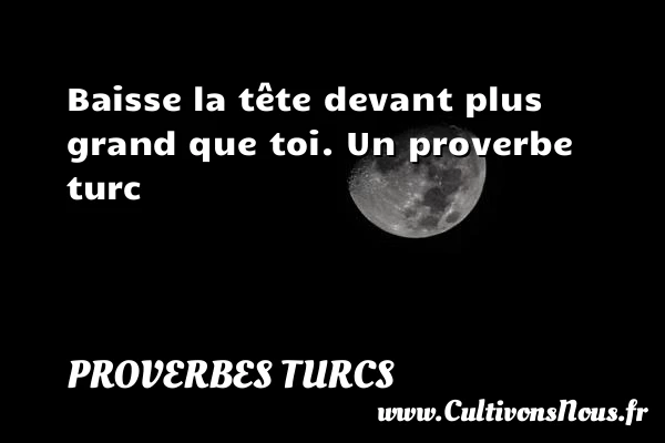 Baisse la tête devant plus - Proverbes turcs