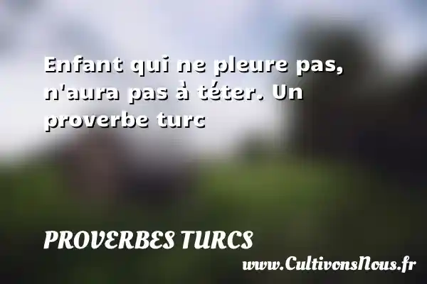 Enfant qui ne pleure pas, n aura pas à téter. Un proverbe turc PROVERBES TURCS