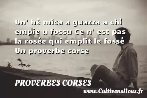 Un  hè mica a guazza a chì empie u fossu Ce n  est pas la rosée qui emplit le fossé Un proverbe corse PROVERBES CORSES