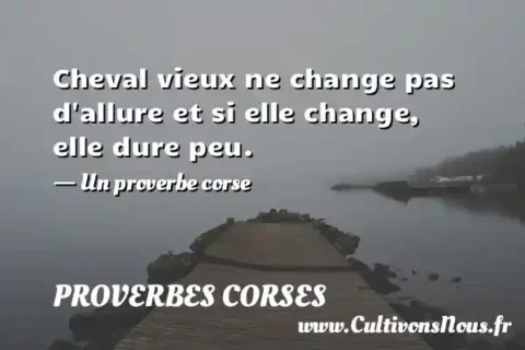 Cheval vieux ne change pas d allure et si elle change, elle dure peu. - Un proverbe corse PROVERBES CORSES