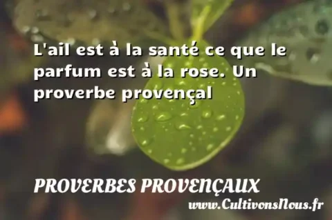 L ail est à la santé ce que le parfum est à la rose. Un proverbe provençal PROVERBES PROVENÇAUX