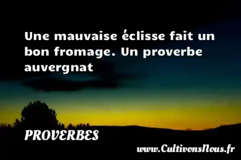 Une mauvaise éclisse fait un bon fromage. Un proverbe auvergnat PROVERBES