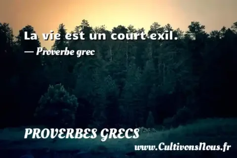 La vie est un court exil. - Proverbe grec PROVERBES GRECS