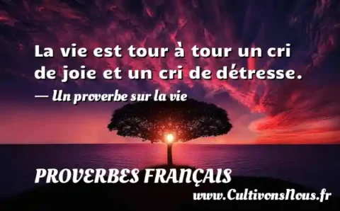 La vie est tour à tour un cri de joie et un cri de détresse. - Un proverbe sur la vie PROVERBES FRANÇAIS