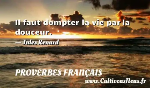 Il faut dompter la vie par la douceur. - Jules Renard PROVERBES FRANÇAIS