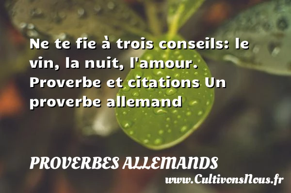 Ne te fie à trois conseils: - Proverbes allemands - Proverbe conseil