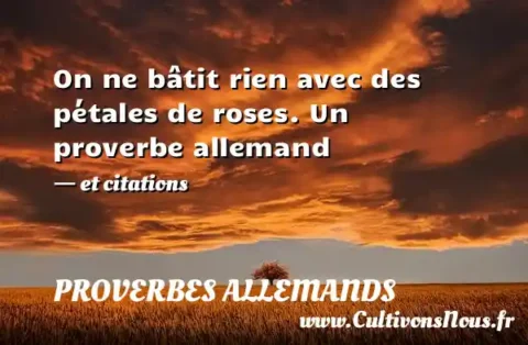 On ne bâtit rien avec des pétales de roses. Un proverbe allemand - et citations PROVERBES ALLEMANDS