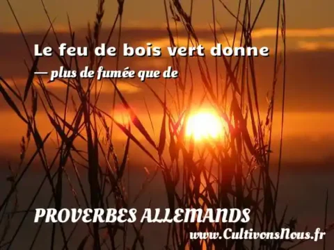 Le feu de bois vert donne - plus de fumée que de PROVERBES ALLEMANDS