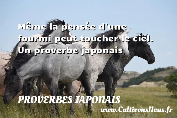 Même la pensée - Proverbes japonais - Proverbes penser